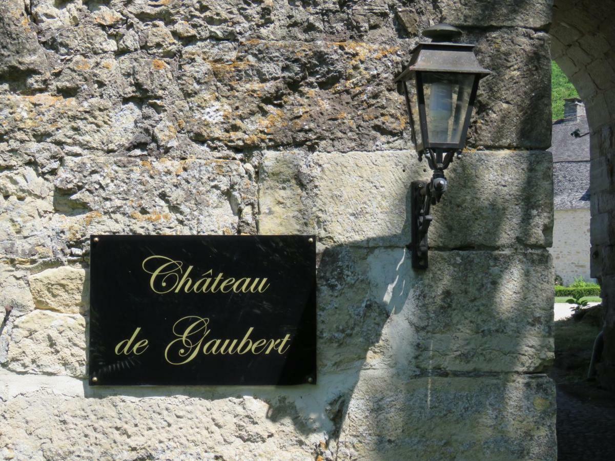 Chateau De Gaubert Bed & Breakfast Terrasson Ngoại thất bức ảnh